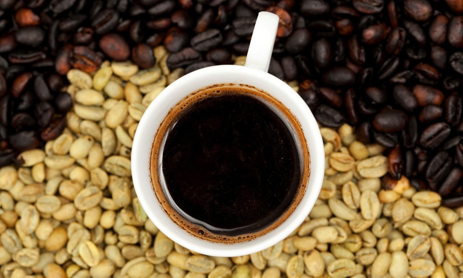 Green Bean Coffee Hours: Your Ultimate Guide to Freshly Roasted Coffee