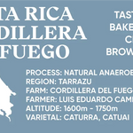 Costa Rica Cordillera Del Fuego Peach Coffee Roasters