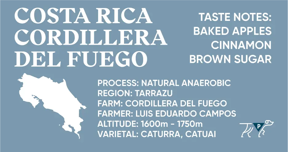 Costa Rica Cordillera Del Fuego Peach Coffee Roasters